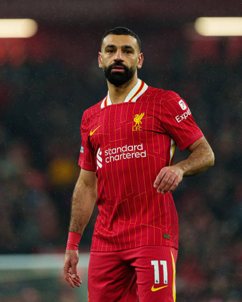 了海港的中 了海港的中